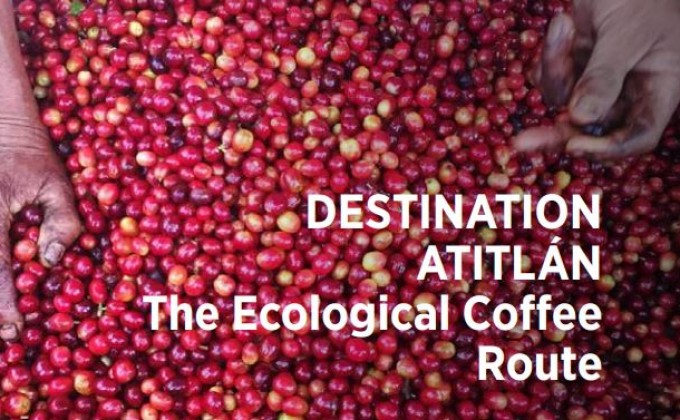 Destination Atitlan : The ecological Coffe Route