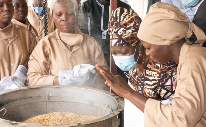 Women's entrepreneurship and rice growing, a winning equation in Benin!