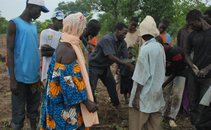 Emergency aid for agricultural recovery for victims of conflict in Northern Mali