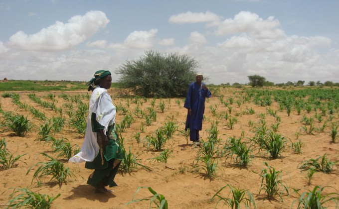 Résilience des écosystèmes et Leadership des femmes au Sahel (RÉELS)